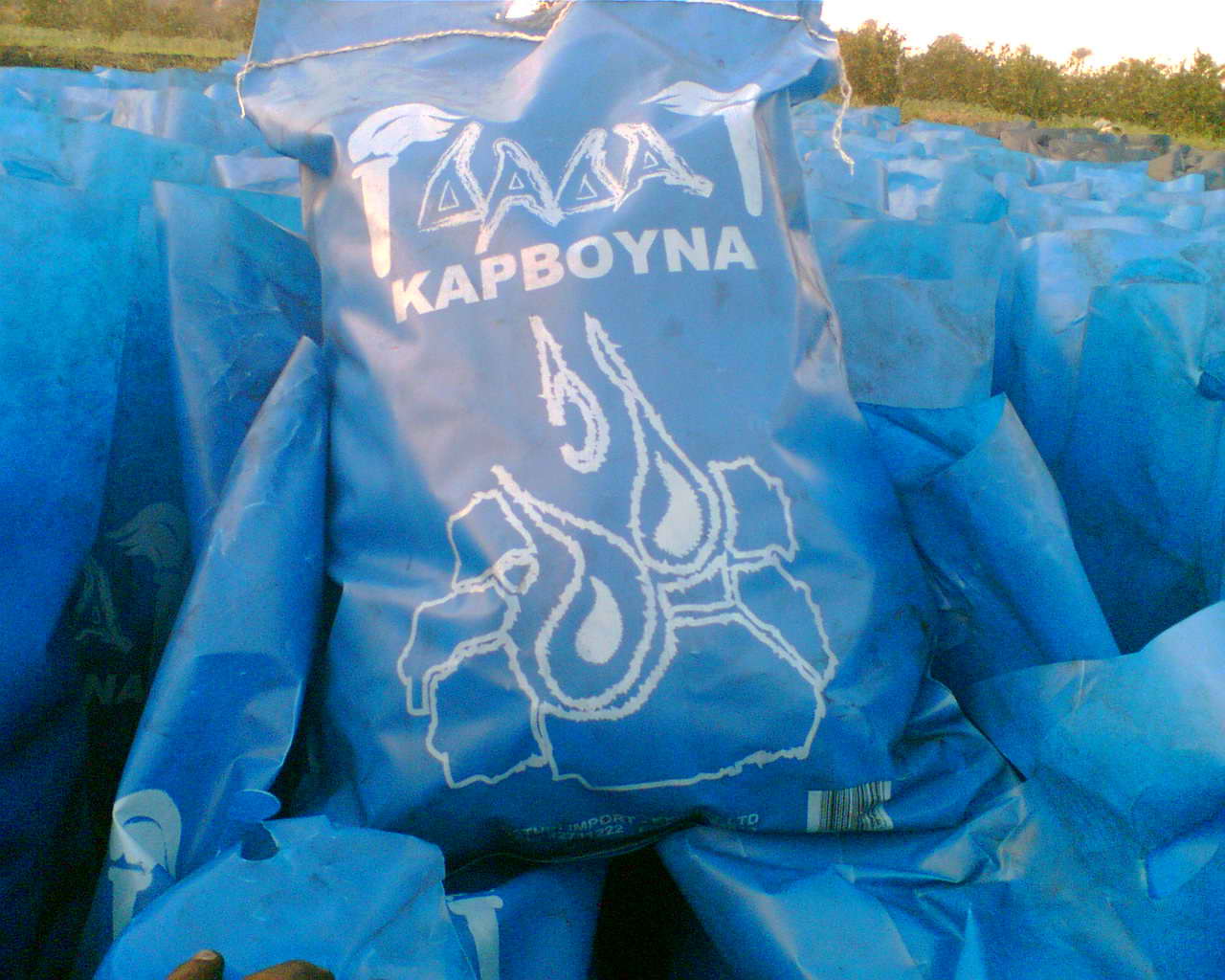 Promotional Bbq Charcoal Packed, Buy Bbq C