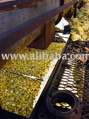 Dried Orange Pulp