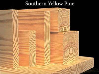 Southern_Yellow_Pine.jpg