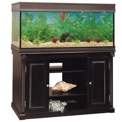 tombstones on ekg. tombstones on ekg. Wood Fish Tank Stands; Wood Fish Tank Stands. nigelquest. Feb 23, 08:14 AM. Thank you OP. What a great tweak. Ive wanted this since day 1