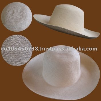 panama hat palm. Dama 1 Fino Panama Hat