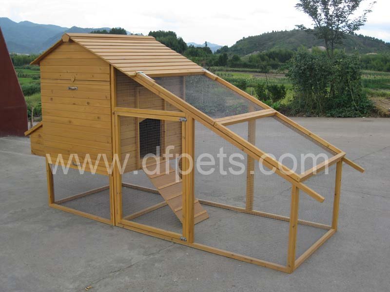 Chicken coop, Poule maison, Cage à oiseaux, Nid d'oiseau, Volaille 