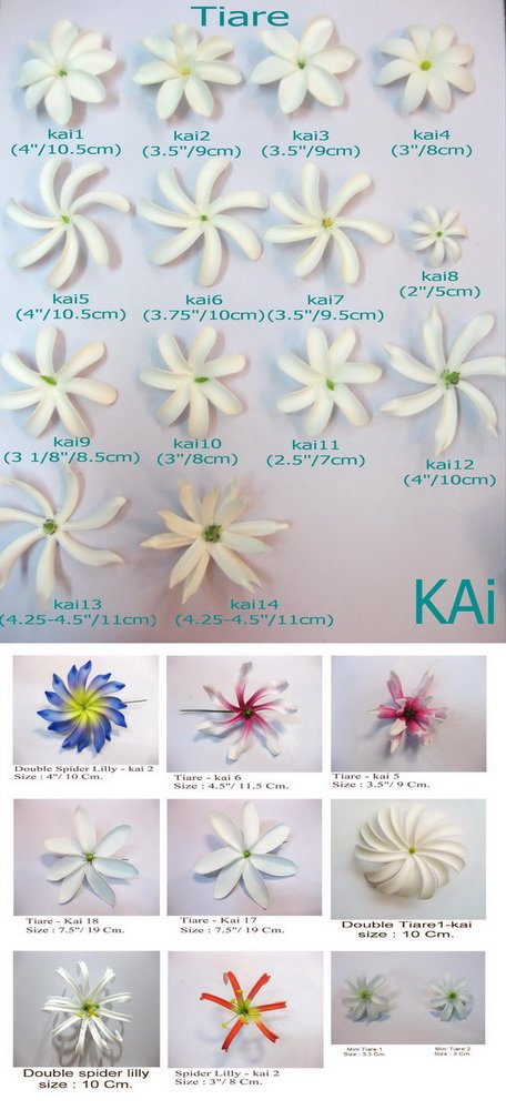 Flowers Chart