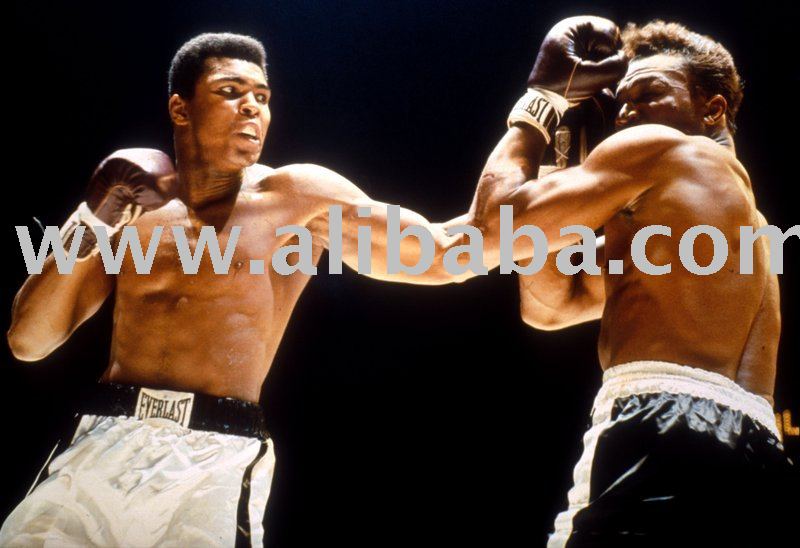 muhammad ali fighting. Muhammad Ali Boxing Fights