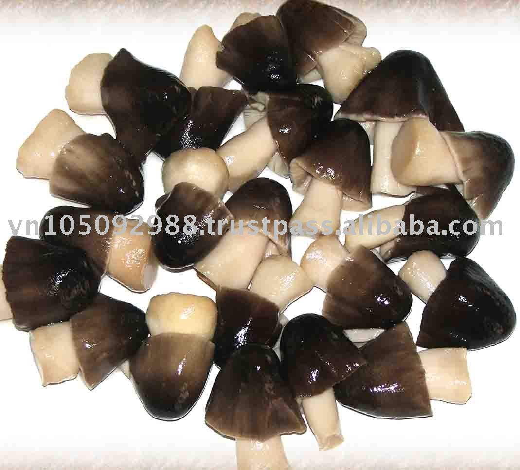 straw mushroom