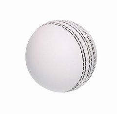 Leather Ball Cricket