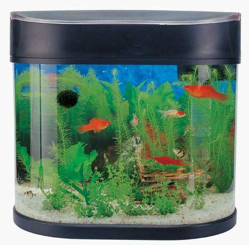 aquarium supplies india  Aquarium Starter Kit, Sun Swirl Online at Low Prices in India Amazon 