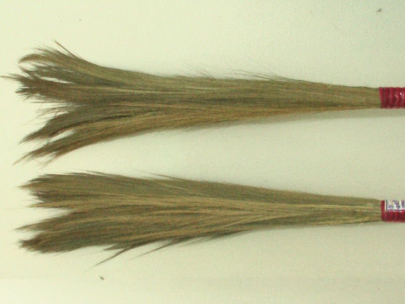 Grass Broom