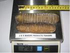 Dried Sea Cucumbers