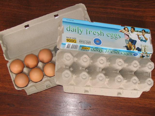 Paper Egg Carton