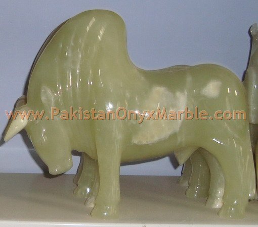 Animal Pakistan