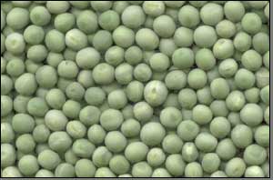 Canadian Peas