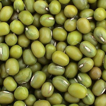 Green Mung Bean yellow mung bean organic green mung bean dried mung bean 