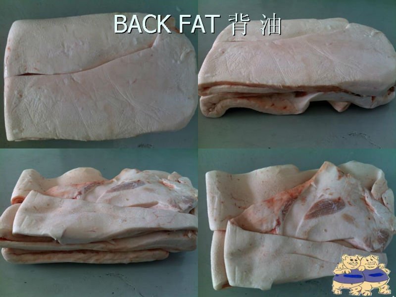 Pork Back Fat