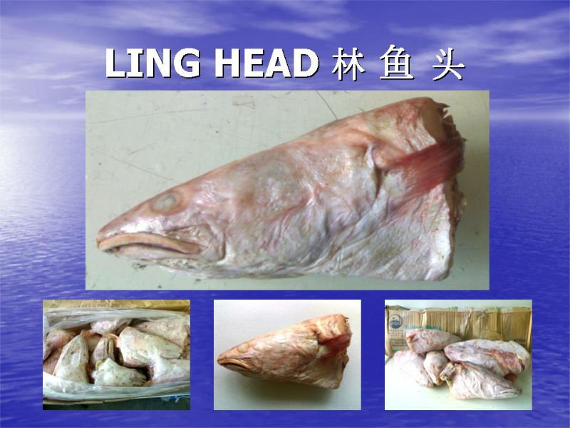 Frozen Ling Fish Heads Genypterus Blacodes Fish Heads