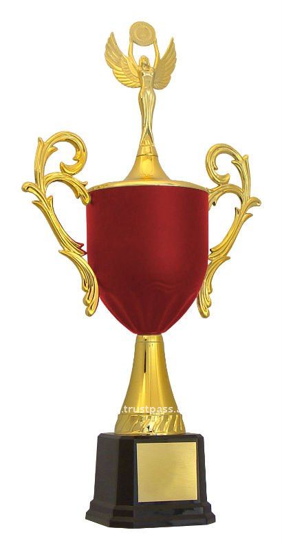 Plastic Trophy