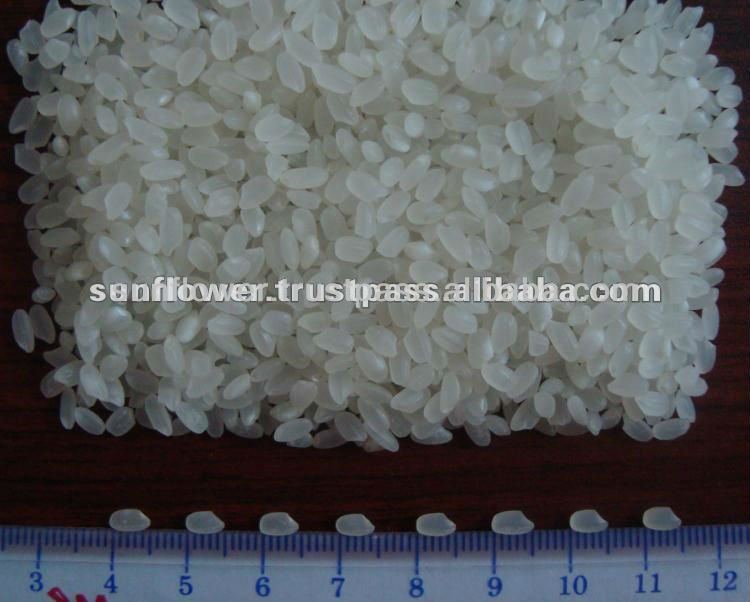 Grain Rice