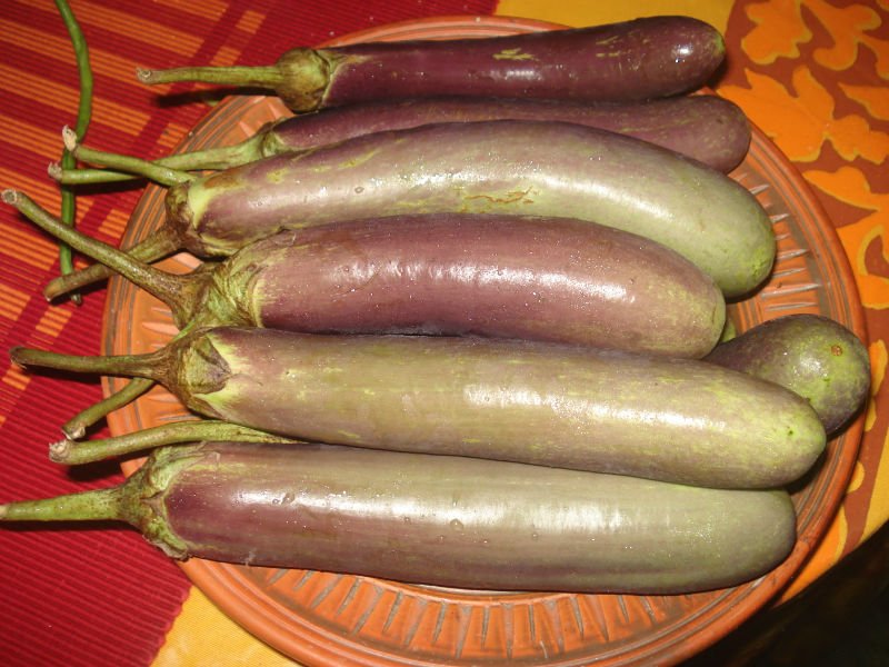 See larger image Egg Plant The Brinjal Add to My Favorites