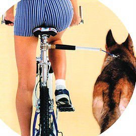Bike Leash