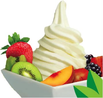 Wholesale Frozen Yogurt Toppings, Mixes, Syrups, Cups Paper