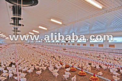 Chicken Control Shed