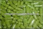 OEM Moringa Capsules Herbal Medicine