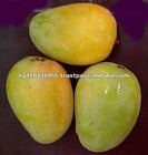 Fresh Mango