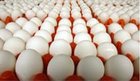 Chicken Eggs