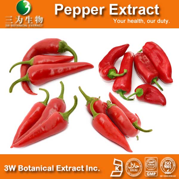 Promotional Chili Pepper Extract Capsaicin Po
