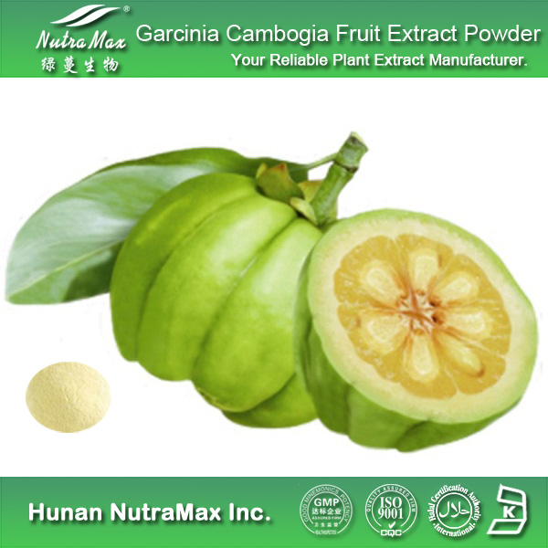 Garcinia Cambogia Extract Powder in Delhi, Delhi, India