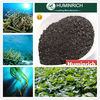 Humirich Shenyang Seaweed Kelp Alginate From Ascophyllum Nodosum Source