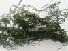 Hot Sale Chopping Machine Dried Seaweed