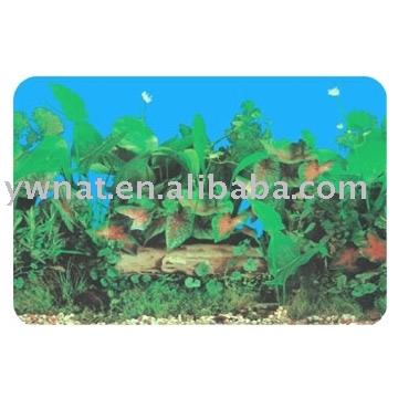 fish tank wallpaper. Planted Aquarium Wallpaper