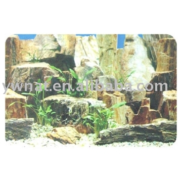 3d Backgrounds For Fish Tanks. aquarium wallpaper. animated