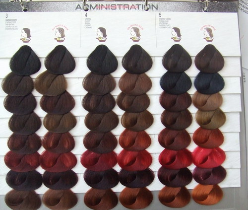 hair color swatch. OEM color swatch book/Hair
