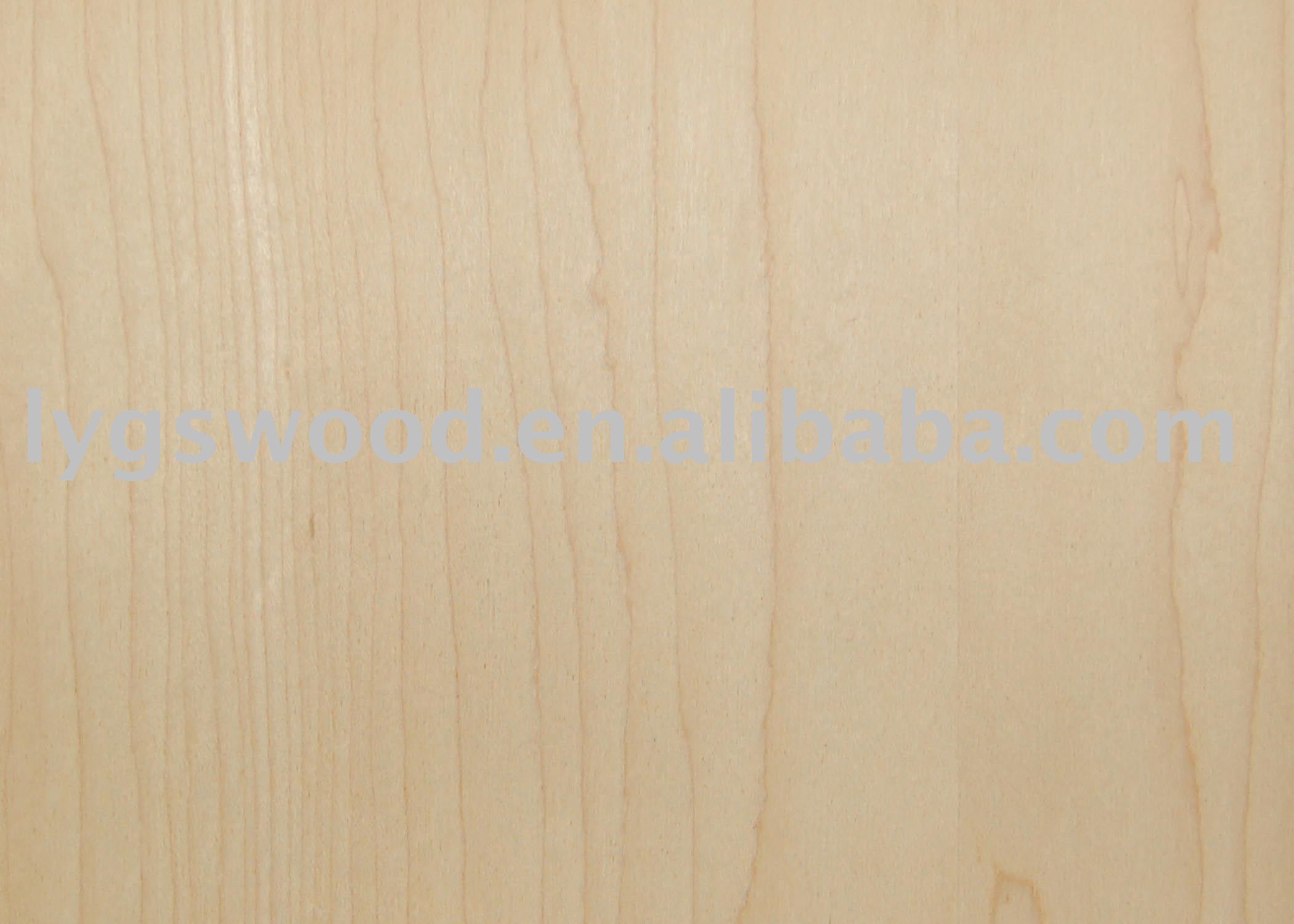 Maple Birch Plywood