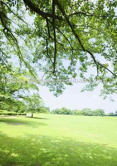 nature fashion wallpaper(China fashion wallpaper. nature fashion wallpaper(China