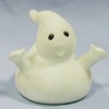 ghost duck