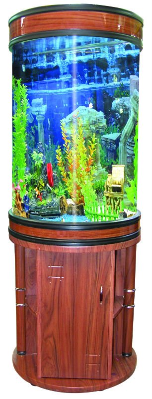 circle fish tank