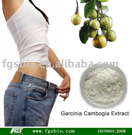 Garcinia Cambogia Extract (P E), View Garcinia Cambogia Extract, FGS 