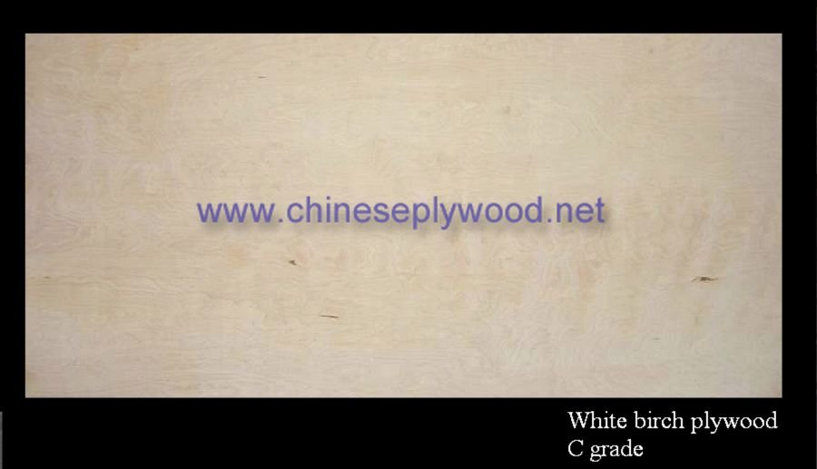 birch faced ply