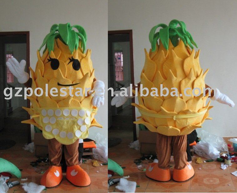 Fruit Costume