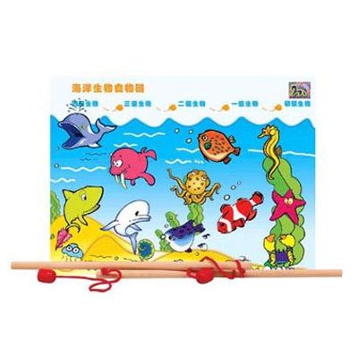 images makeup pond food chain Pond Food Chain For Kids. images makeup pond food chain