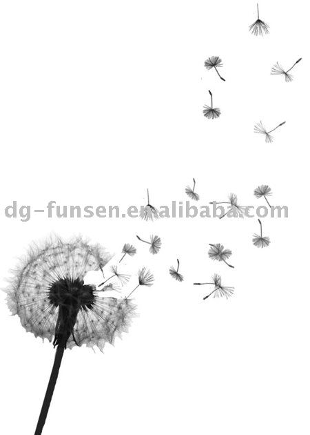 dandelion tattoos. Dandelion Transfer Tattoos