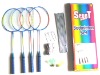 Badminton Set
