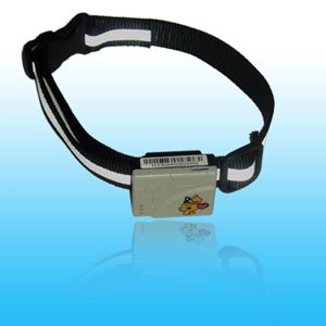 Gps Kid Tracker