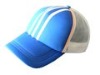 hat, mesh cap