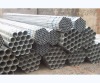 Q195 hot-rolled galvanized Steel Pipe