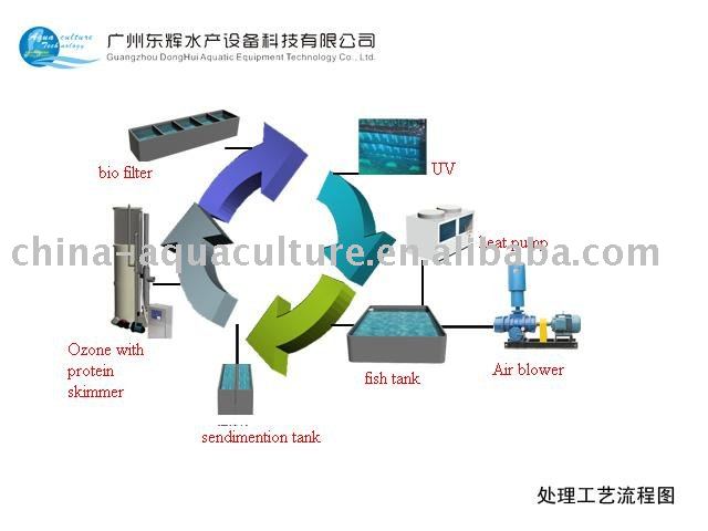 Recirculating Aquaculture System