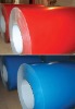 painted steel coil
